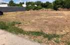 Vand teren intravilan Prundu, 2900 mp,front str. 110 ml - 649000 euro negociabil - 7
