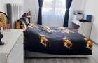 RECO Duplex cu 3 camere la cheie in Nojorid - 6