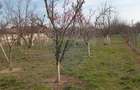 Teren Vladimirescu-  Zona Excelenta  2954 MP INTRAVILAN!!! - 2