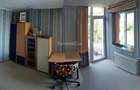 Vila, 5 camere, 2 parcari, sauna si gradina, Buna Ziua - 7