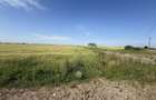 Teren 10 hectare pretabil pt panouri solare-Aricesti Rahtivani - 5