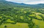 Teren ideal recreere/conectare cu natura/zona Fagaras/achitare in rate - 15