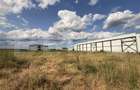 Teren intravilan industrial 692 mp, front 15m, Cârcea, zona Flux Arena - 2