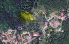 Proprietar vand 7059 mp in Predeal- str. Schiorilor/Cioplea