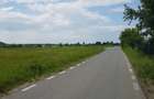 Teren de vanzare  7.400mp Ciolpani -Intravilan 300m de la DN1 -STRADA ASFALTATA  - 3