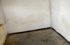 Spatiu comercial-Fost Magazin Casa Lebada, Sos. Bucium 23 - 10