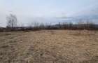 Teren intravilan 10.000 mp plan | Utilități în apropiere | La 8 min de Baia Mare - 1