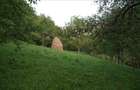 10 hectare teren plus casa la munte in Buces, Hunedoara - 10