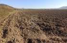 Teren 7500 mp-ideal agricultura, invetitie-Sarata - 2