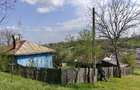 Casă cu 10.300 mp la 15 km de Craiova - 8