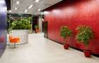 Boc Office - 10