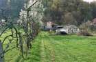 Casa si 3919 mp teren intravilan  in  Bucuresci, jud. Hunedoara - 7