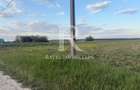 Teren extravilan | Păușa | Bihor - 4