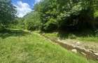 Casa de vacanta 98 mp| 25.000 mp teren| zona Valea Vintului - 4