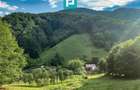 Teren  pentru investiții  în Luncoiu de Jos - 6
