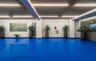 Extraordinary Penthouse *380 SQM useful* 3 parking // Primaverii - 55