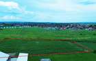 Teren pentru investitii industriale front stradal generos, Salard, aproape de A3 - 1