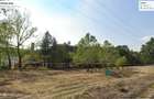 INCHIRIEZ 3.7ha PADURE+anexe pentru AVENTURA Parc, Bucuresti-Vest Padurea Ileana - 3