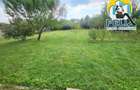 CASA P+1, 250mp, Fantanele  Margineni, teren 1100mp, toate utilitatile racordate - 19