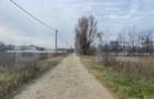 Teren extravilan agricol 5792 mp Popoveni - 2