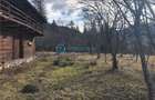 Royal Imobiliare-Vanzare Teren Zona Voineasa - 2