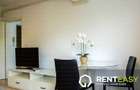 Apartament cu 2 camere de inchiriat in bloc nou zona Podu de Fier - 4