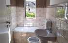 Resedinta/ spatiu profesional de inchiriat, Ghimbav – Central - 23