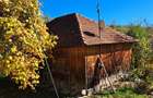 Teren extravilan in localitatea Bulz - 7
