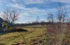 Teren intravilan de vanzare cu livada la 30km de Oradea, Sannicolau Roman, Bihor - 2