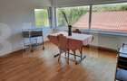 CASA+SPATIU PENTRU AFACERE/LOCUIT IANCU JIANU - 8