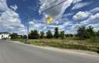 Teren Intravilan 20.000mp - Locatie Excelenta langa Penny Odaile! - 9