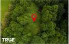 Teren intravilan 2.800 m² în Câmpu Cetății – liniște și natură - 12
