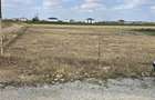TEREN INTRAVILAN 568 MP | PROIECT CASA | CIHEI - SANMARTIN | BIHOR - 3