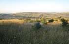Oportunitate de Investiție – Teren Intravilan 5.700 mp, Chinteni - 4