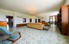 For renting 7 rooms penthouse, Herastrau Park, UNIQUE! - 4