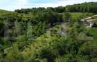 Casă de vacanță, 80 mp, refugiu în natură, 15 min de oraș, zona Ampoita - 17