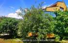 CACIULATA, VILA 736 MP, TEREN 1200 MP - 31