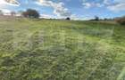 Teren intravilan in localitatea Aghires in suprafata de 1350mp - 1