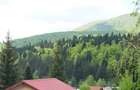 Vanzare casa la munte langa padure in Cheia judetul Prahova - 8