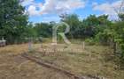 Casa cu teren generos | Spinus | Bihor - 8