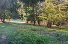 TEREN DE VANZARE - POIANA BRASOV - 7