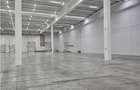 Spatiu Industrial - 5000 mp - Logistica - Depozitare - Distributie - 7