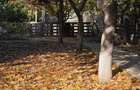 Exclusivitate! Proprietate in Sendreni, jud. Galati -  59.900 EUR - 20