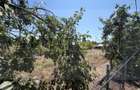 | Teren Intravilan Domnesti 585 mp-Investitie |