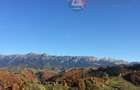 OPORTUNITATE RARĂ IN MOIECIU DE JOS ,Teren 10.669 mp la poalele Bucegilor - 7