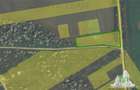Teren Intravilan pentru constructie, 3000mp, Branesti, Ilfov - 4