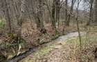 Teren intravilan 6.500 m²–Deschidere 144 ml drum european E81, km 35, Morăresti - 3
