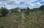 Exclusivitate-Vadu, zona centrala, casa 75mp, teren 1917 mp/31ml deschidere - 7
