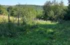 OPORTUNITATE: 4.400 mp la marginea PADURII, langa VILE NOI, toate UTILITATILE - 6