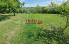 Teren intravilan de vanzare zona Schit - 11